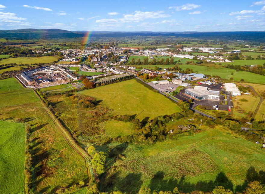 Lands, At Ballineale, Ballineale, Oldcastle