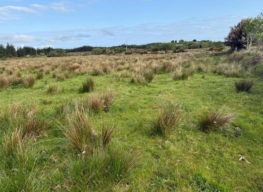 Tullyard, Glenties