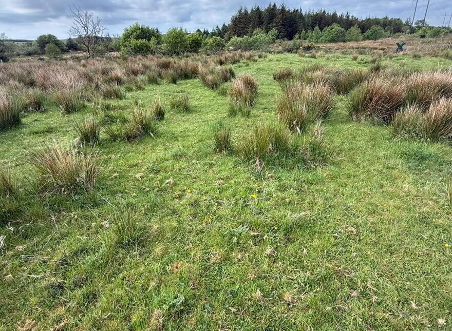 Tullyard, Glenties