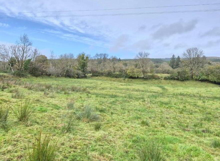 Lisinagroagh, Manorhamilton, F91YW70