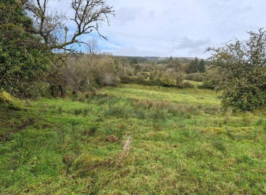 Lisinagroagh, Manorhamilton, F91YW70