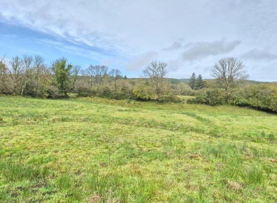 Lisinagroagh, Manorhamilton, F91YW70