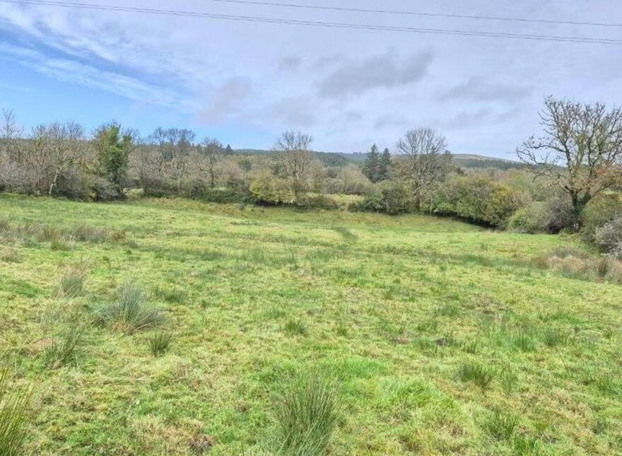 Lisinagroagh, Manorhamilton, F91YW70