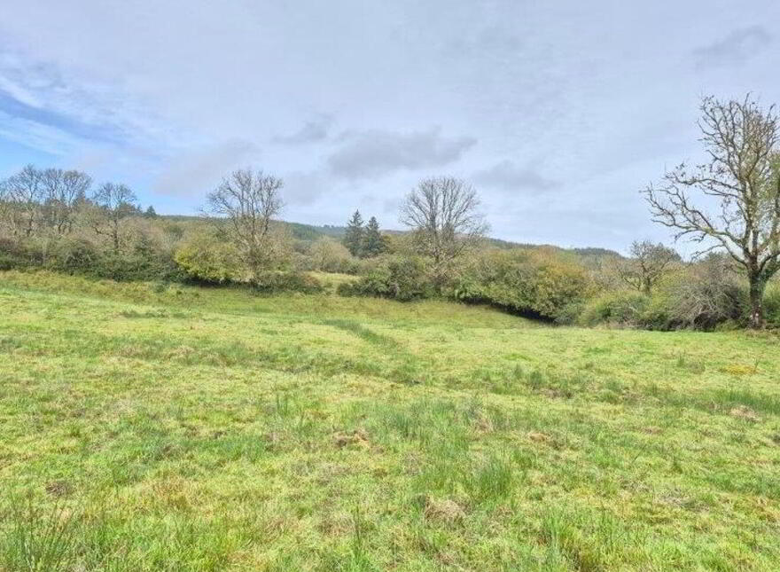 Lisinagroagh, Manorhamilton, F91YW70