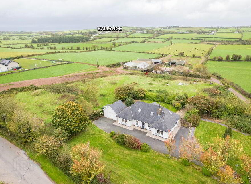 Kilphillibeen, Ballynoe, Conna, P51WA21