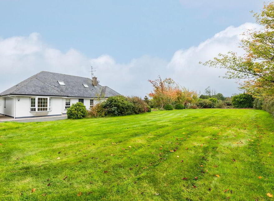 Kilphillibeen, Ballynoe, Conna, P51WA21