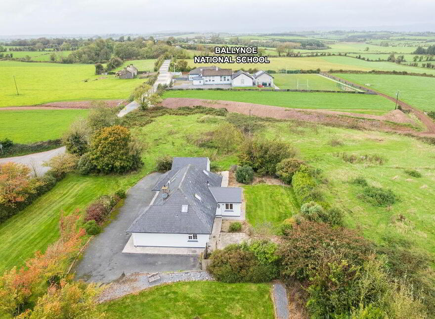 Kilphillibeen, Ballynoe, Conna, P51WA21
