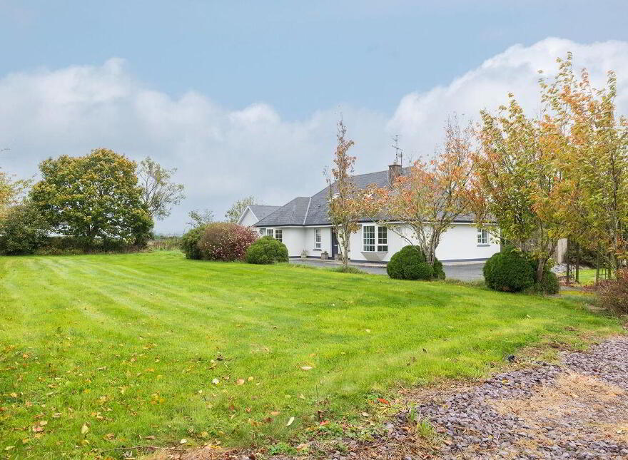 Kilphillibeen, Ballynoe, Conna, P51WA21