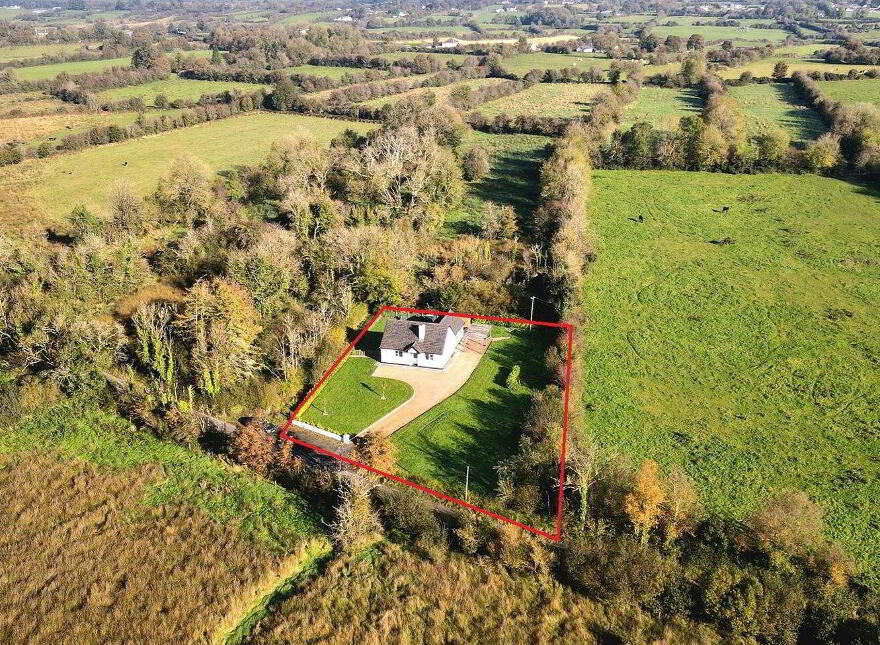 Curraghard, Lisacul, Lisacul, F45F242