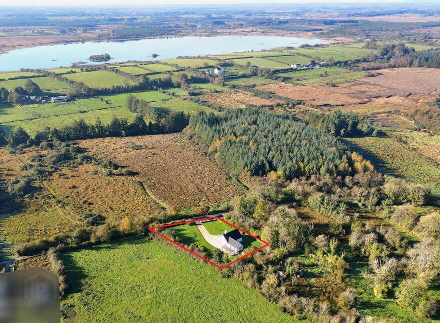 Curraghard, Lisacul, Lisacul, F45F242