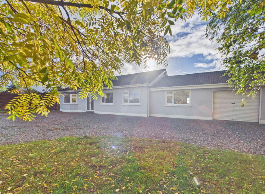 Barrowhouse, Athy, R14KW44