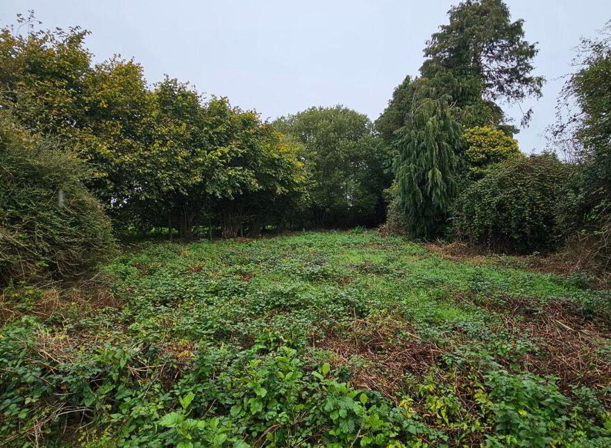 Ticroghan, Clonard, A83PW59
