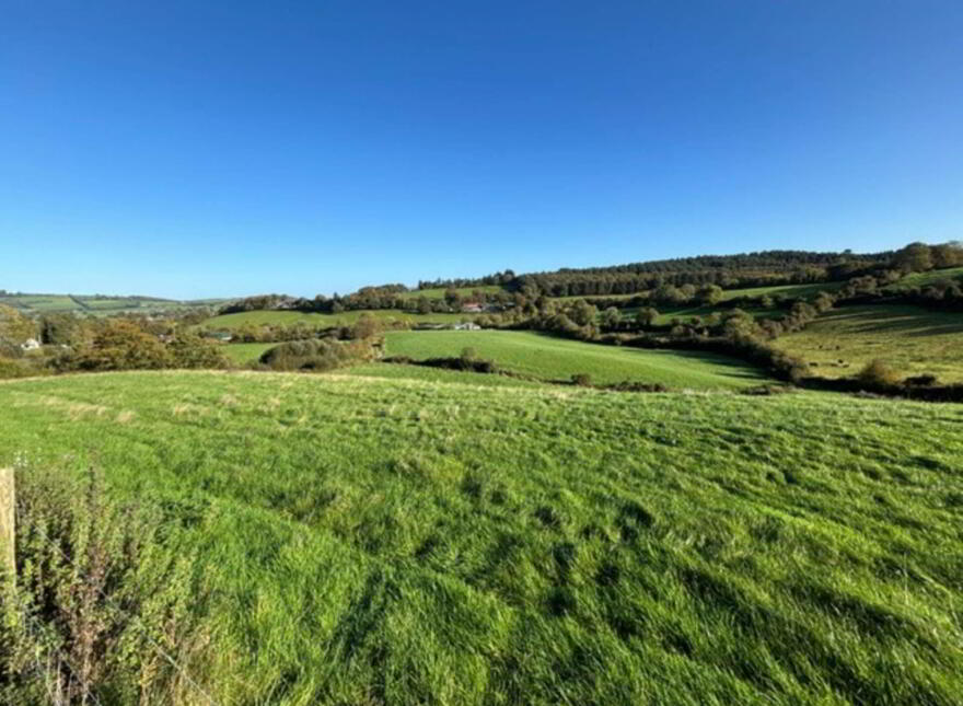 Glentane, Templederry, Nenagh