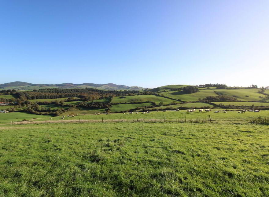Glentane, Templederry, Nenagh
