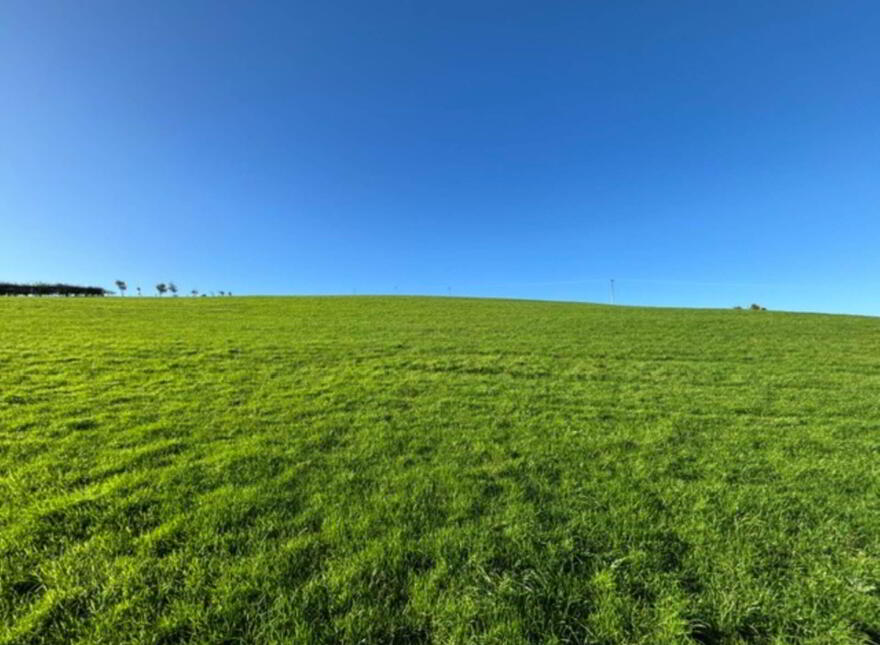 Glentane, Templederry, Nenagh