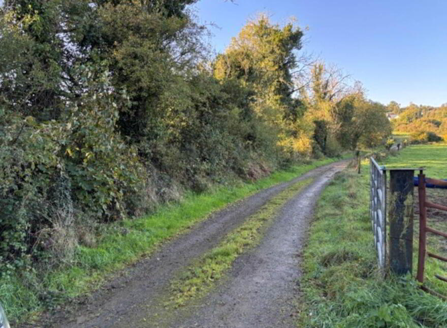 Glentane, Templederry, Nenagh