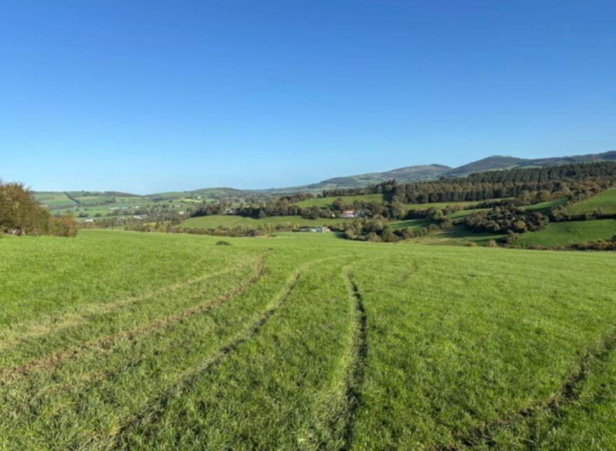 Glentane, Templederry, Nenagh