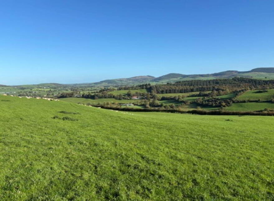 Glentane, Templederry, Nenagh