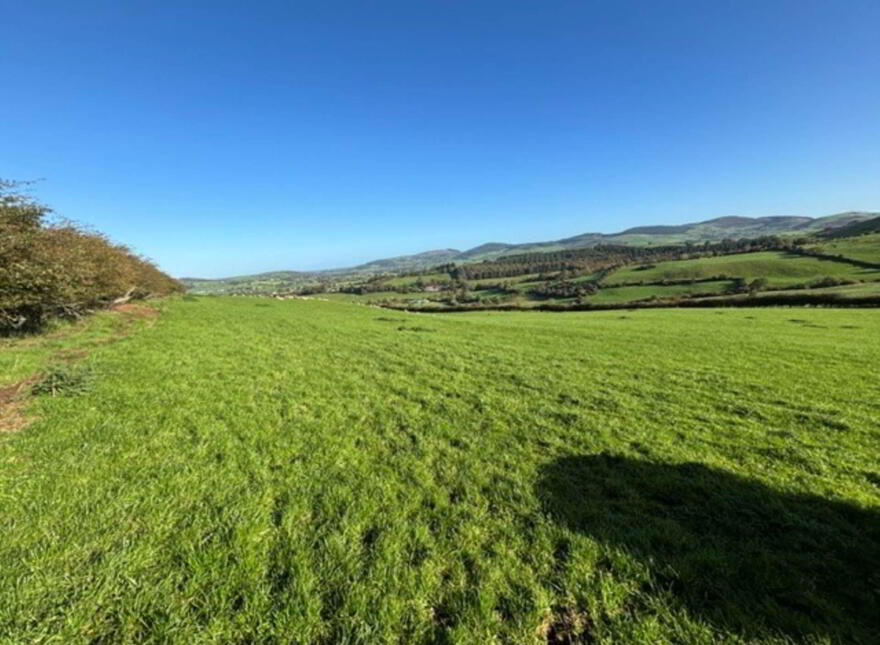 Glentane, Templederry, Nenagh