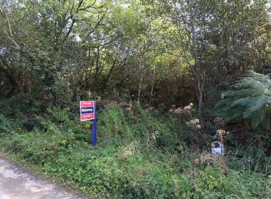 Ballybroughan, Sixmilebridge