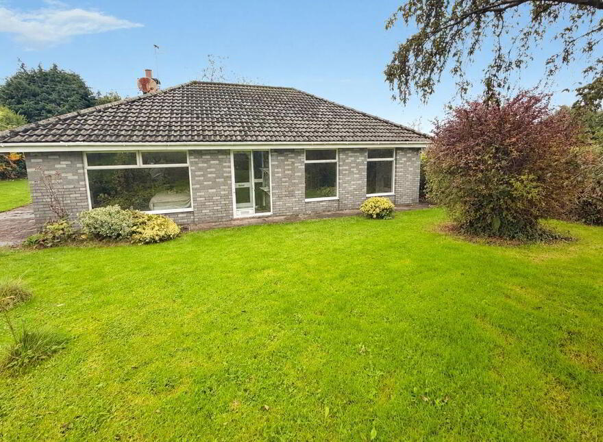 Nialam, Ballycurreen, Frankfield, T12TFD8 photo