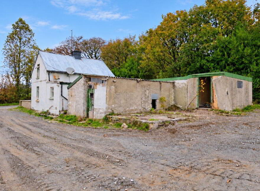 Millquarter, Old Ross, New Ross, Y35X588