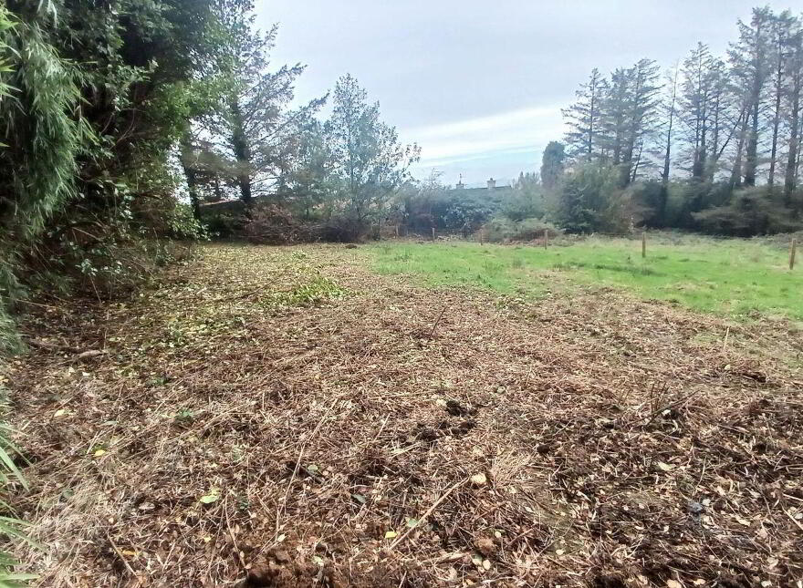 Keelties, Firies, V93P978