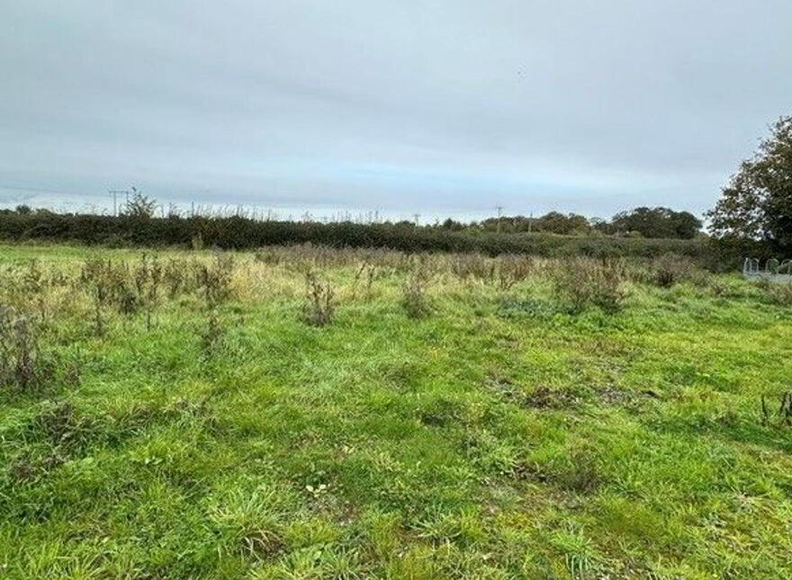 Graigue, Horse And Jockey, Thurles, E41YW83