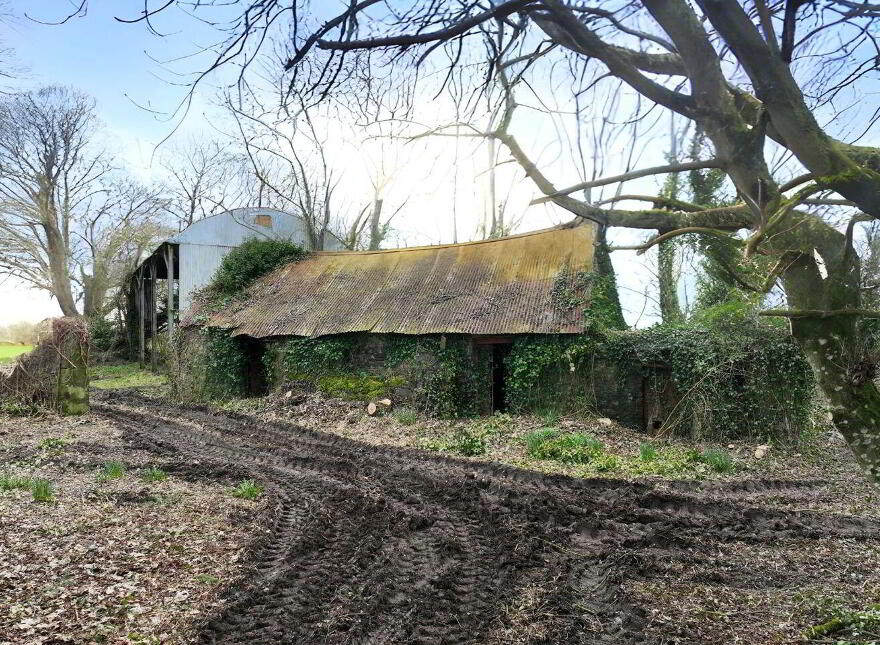 Period Farmhouse On, C. 1.53 Acres, Knocknagull, Dunlavin, W91D2T6