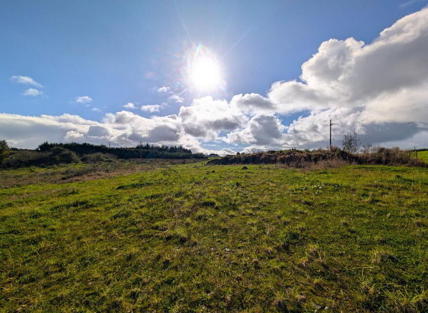 Castlecrunnoge, Swinford
