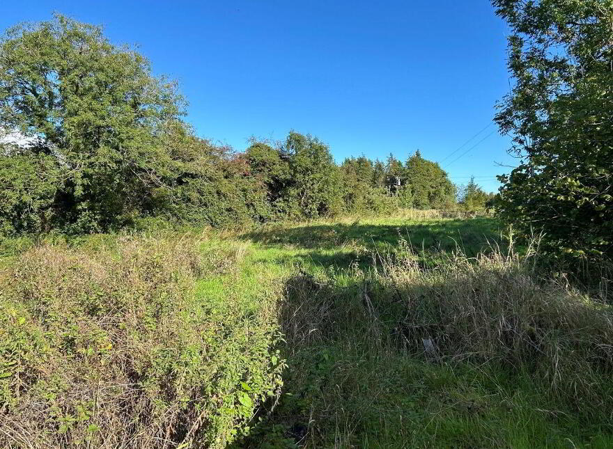 Cleen, Knockvicar, Boyle, F52RF29