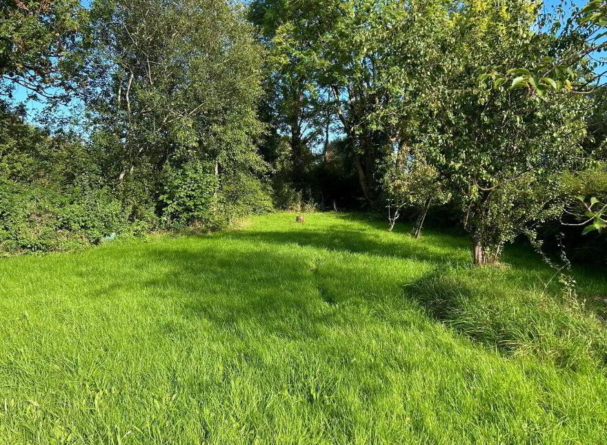 Cleen, Knockvicar, Boyle, F52RF29