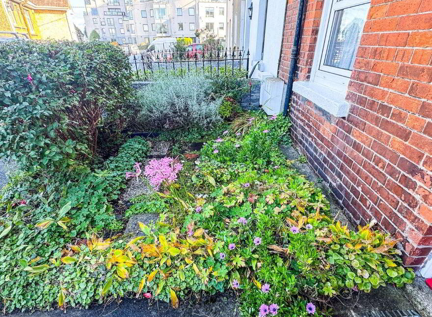 4 Synnott Terrace, Clarence Street, Dún Laoghaire, Dun Laoghaire, A96HY23