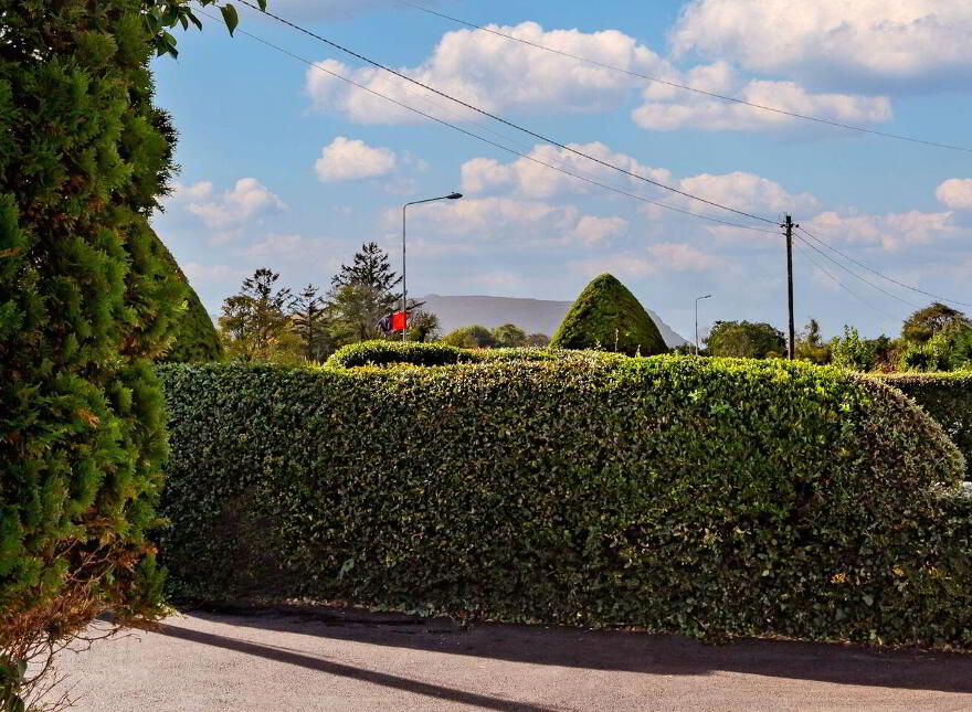 Cummeen, Sligo, F91FK00
