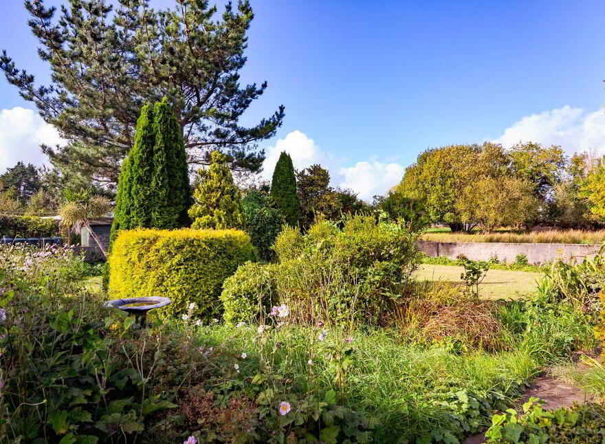 Cummeen, Sligo, F91FK00