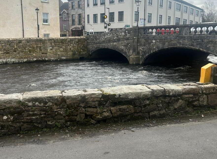 Bridge Street, Boyle, F52E982
