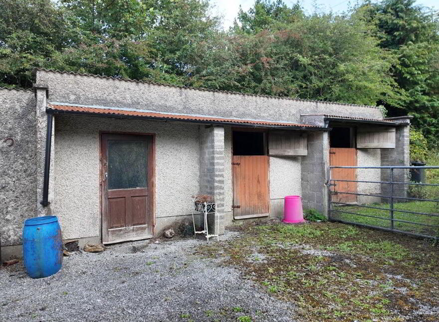Ballylugnagon, Boyle, F52NW56
