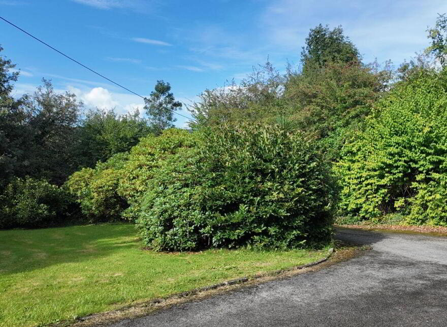 Ballylugnagon, Boyle, F52NW56