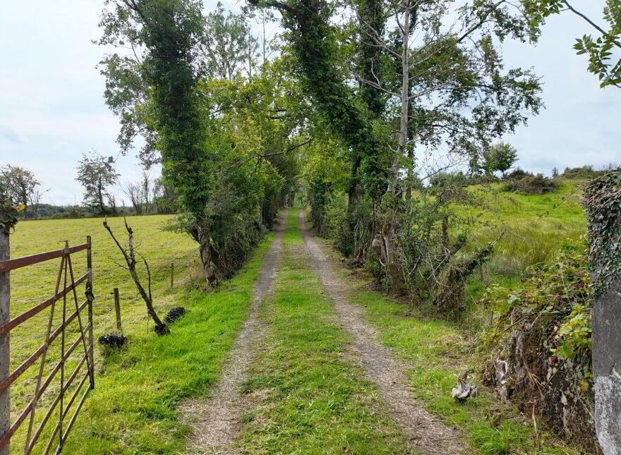 Tintagh, Corrigeenroe, F52Y863