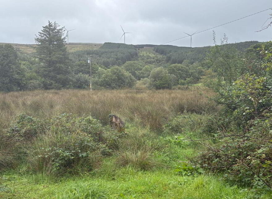 Rover, Ballyfarnon, Geevagh, F52X729