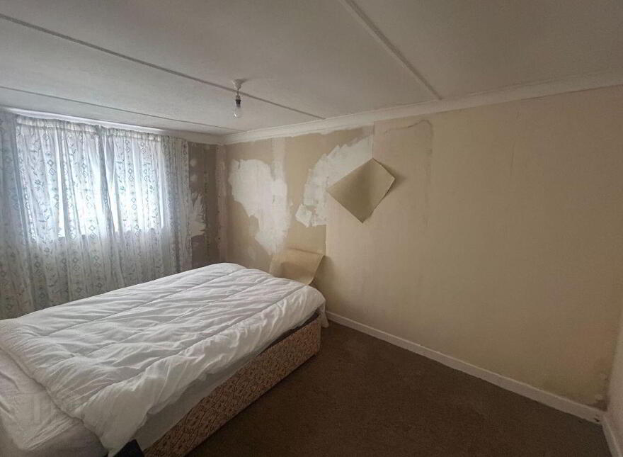 Maple Drive, Boyle, F52VC56