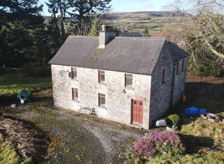 Gortalough, Ballinafad, F52A034