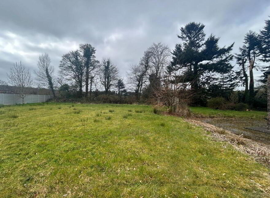 Gortalough, Ballinafad, F52A034