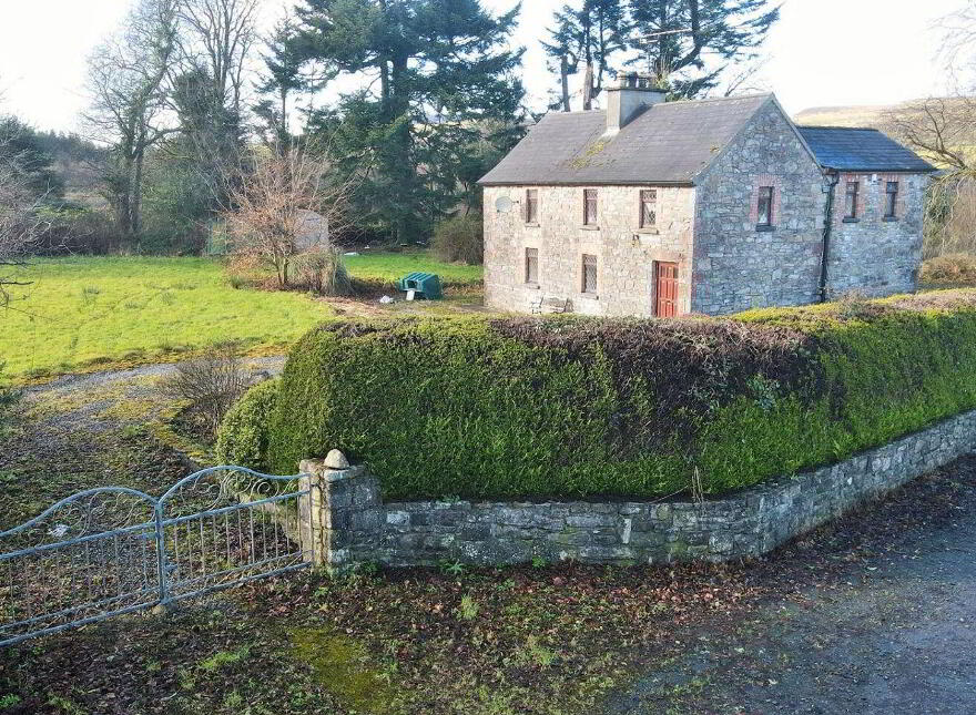 Gortalough, Ballinafad, F52A034