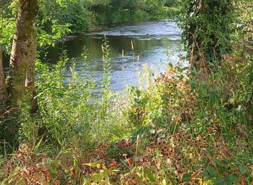 3 Riverside, Abbeytown, Boyle, F52EW44
