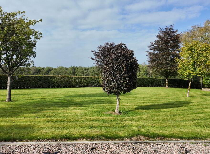 Cloonshanville, Frenchpark, F45RX92