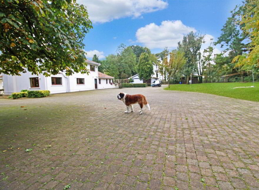 Peakroe, Athenry, H65C578