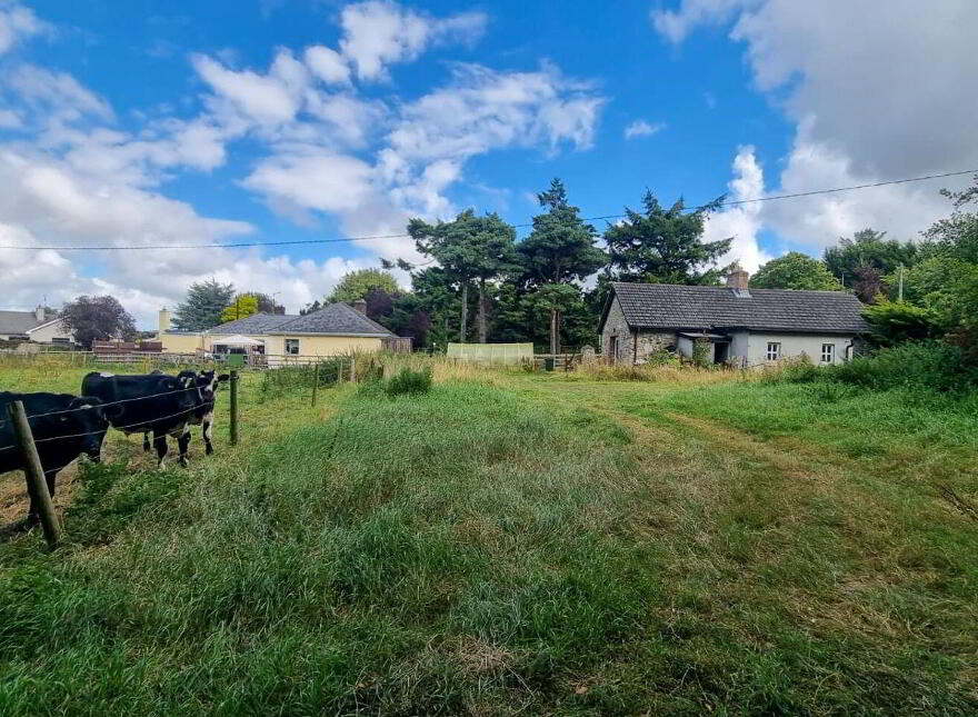 Mullameelan Ardee, Ardee, A92R970