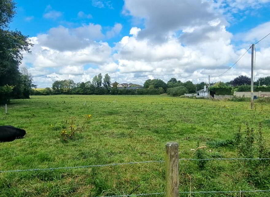 Mullameelan Ardee, Ardee, A92R970