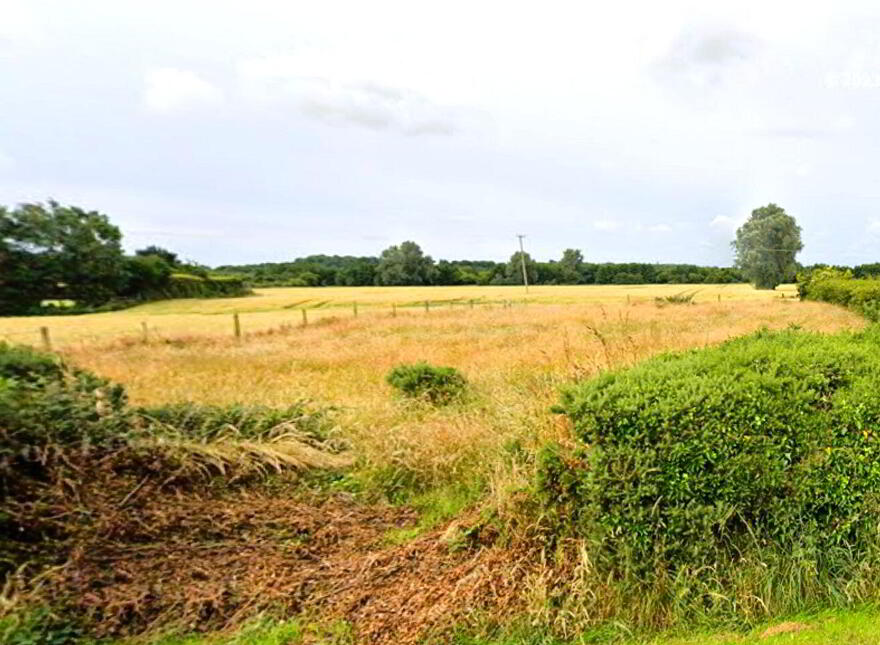 Commons, Dromiskin
